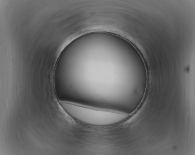 X0000093241529200709261519