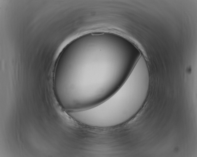 X0000093241530200709261519