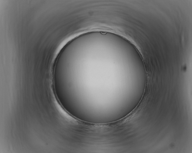 X0000093241531200709261519