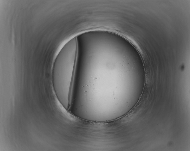 X0000093241532200709261519