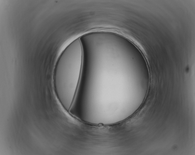 X0000093241533200709261519