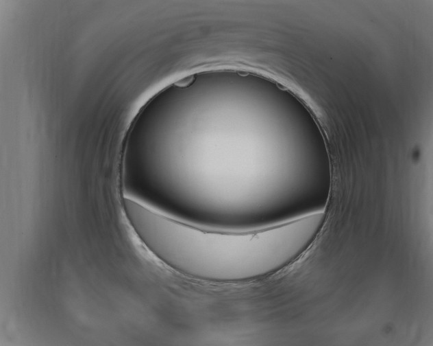X0000093241534200709261519