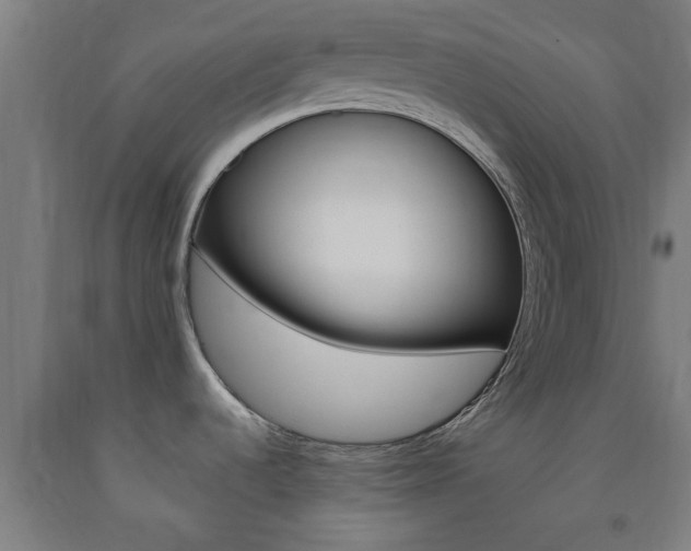 X0000093241536200709261519