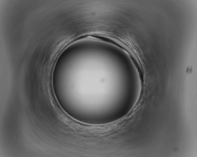 X0000093240001200709261718