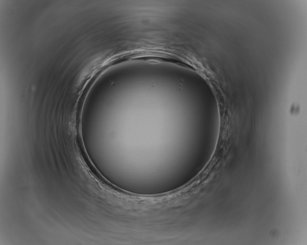 X0000093240002200709261718
