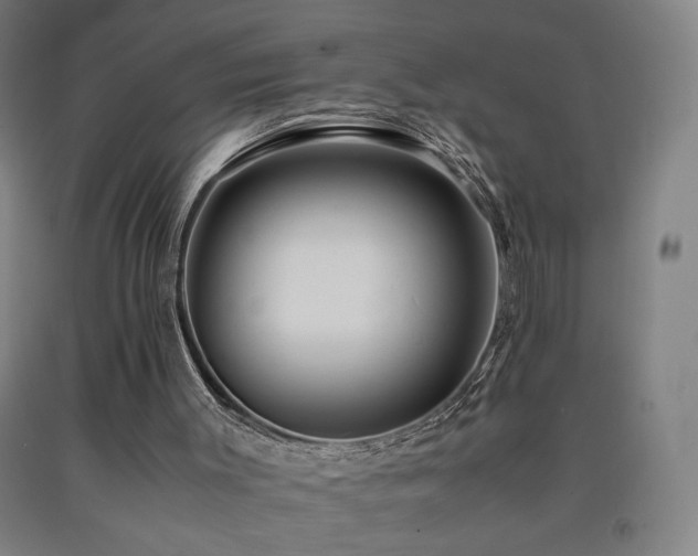 X0000093240003200709261718