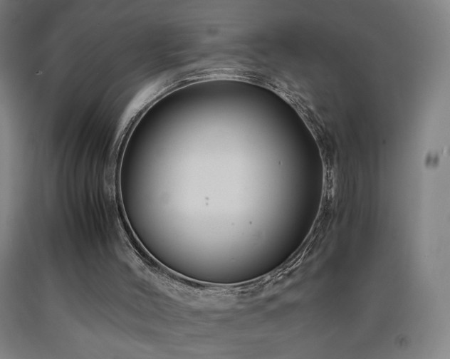 X0000093240004200709261718