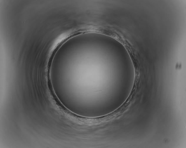 X0000093240006200709261718