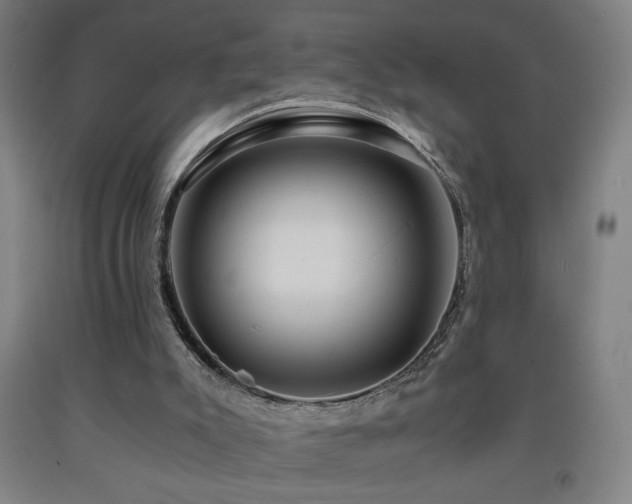 X0000093240007200709261718