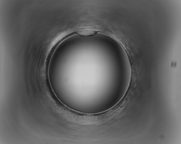 X0000093240008200709261718