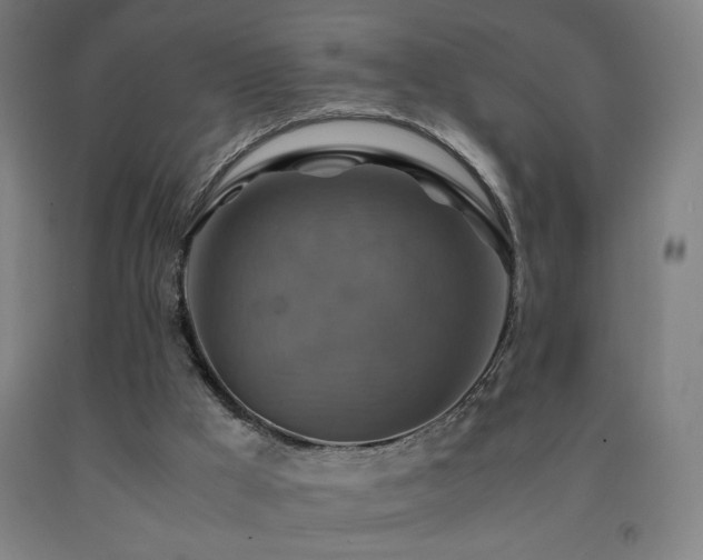 X0000093240009200709261718