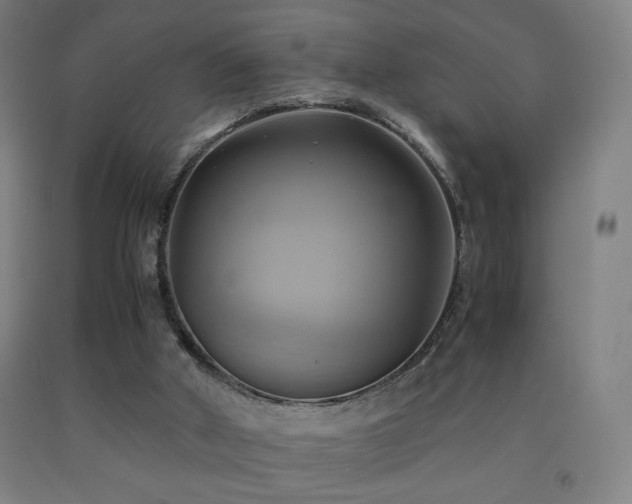 X0000093240010200709261718