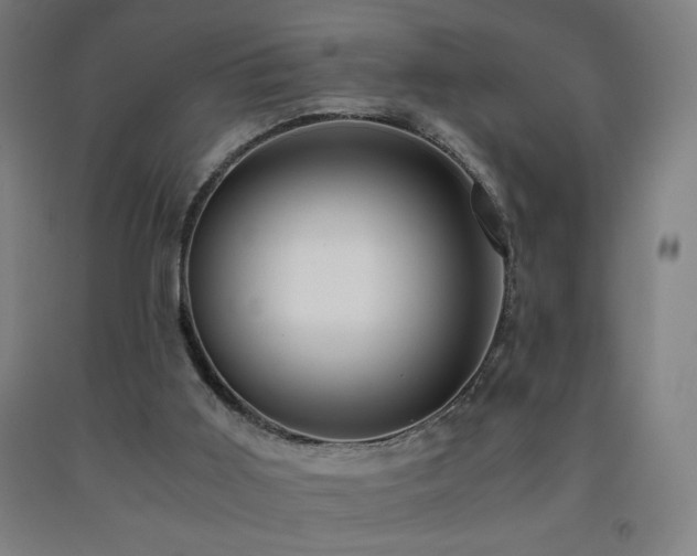 X0000093240011200709261718