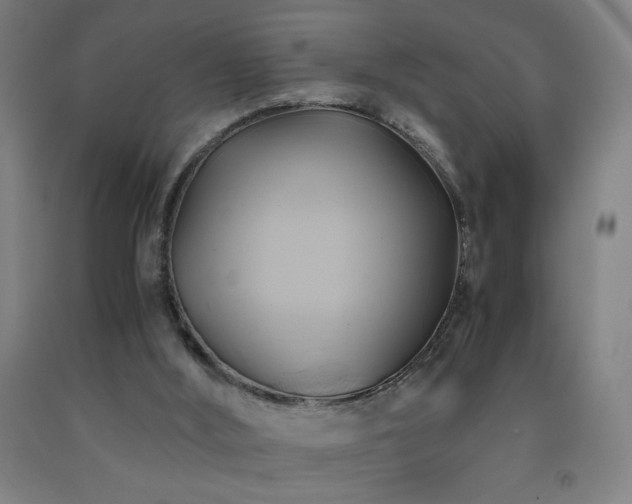 X0000093240012200709261718