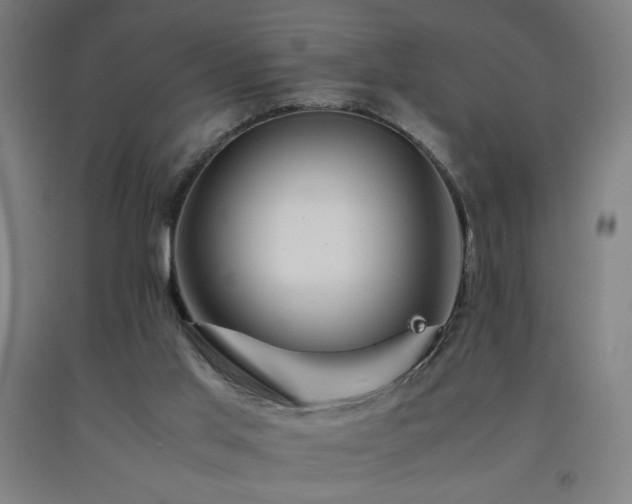 X0000093240013200709261718