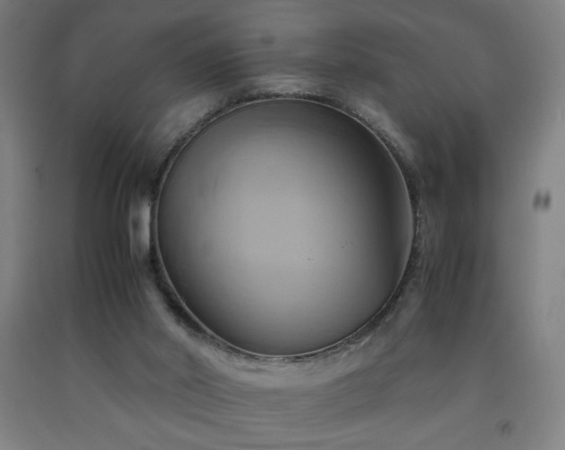 X0000093240014200709261718