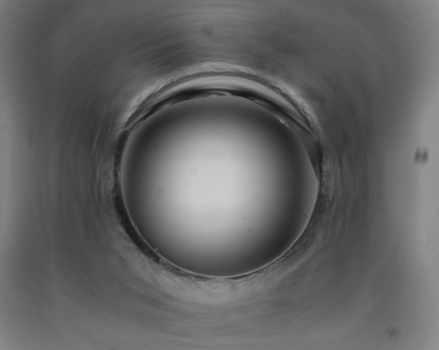 X0000093240015200709261718