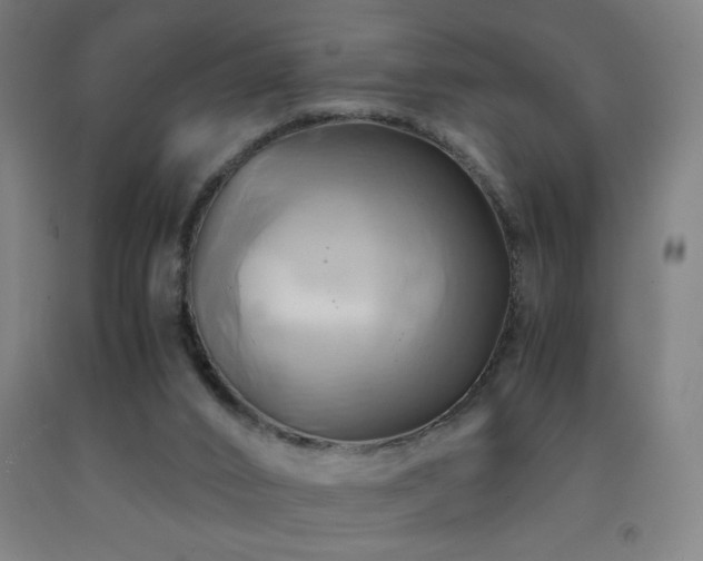X0000093240016200709261718