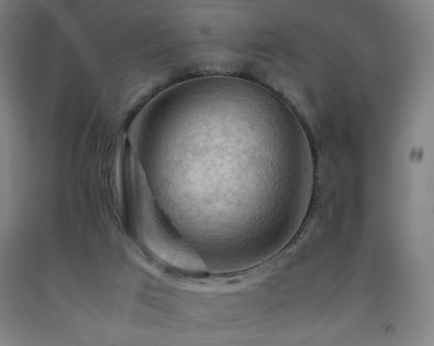 X0000093240017200709261718