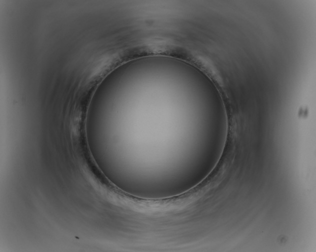 X0000093240018200709261718