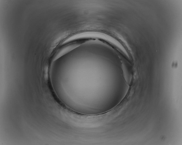 X0000093240019200709261718