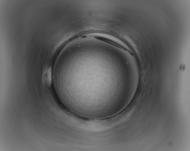 X0000093240020200709261718