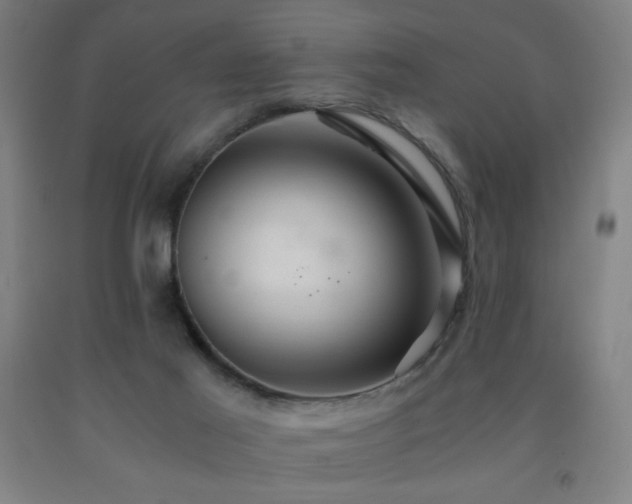 X0000093240021200709261718