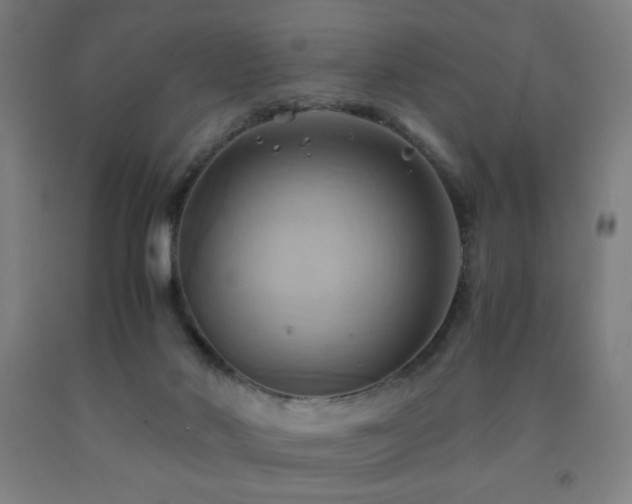 X0000093240022200709261718