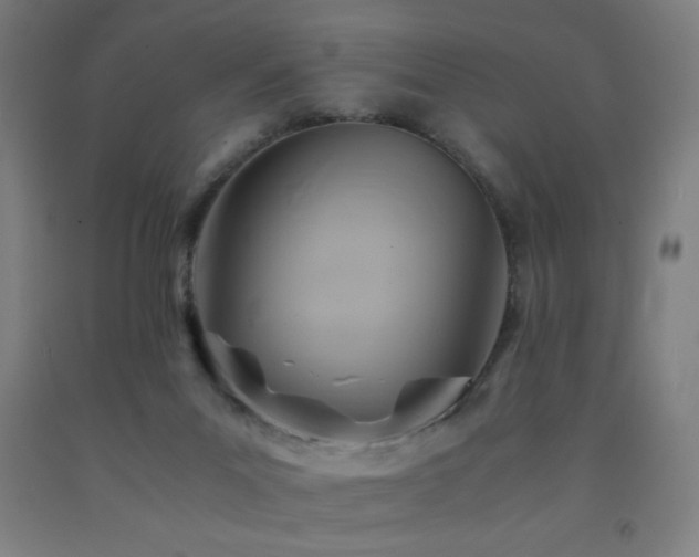 X0000093240023200709261718
