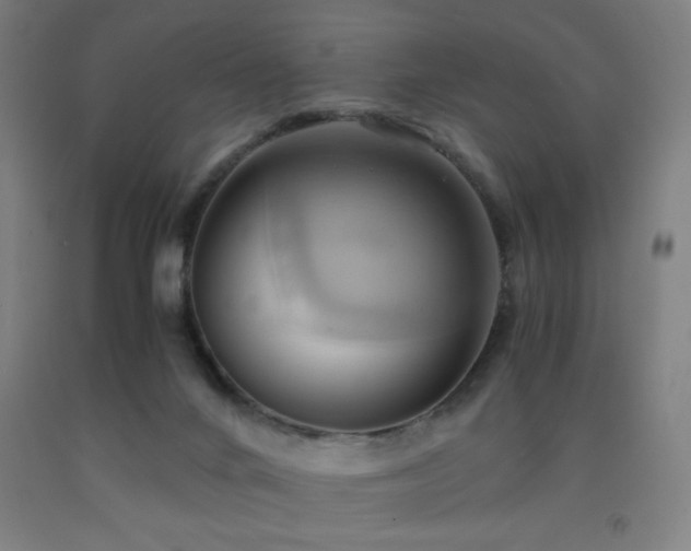 X0000093240024200709261718