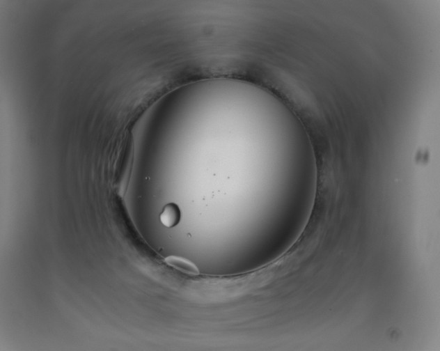 X0000093240025200709261718