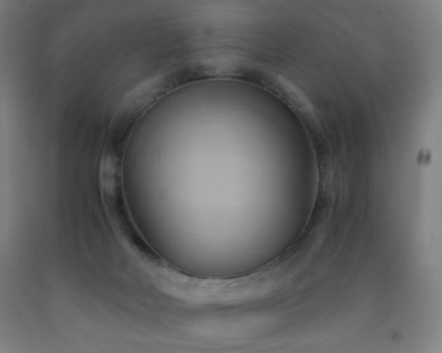 X0000093240026200709261718