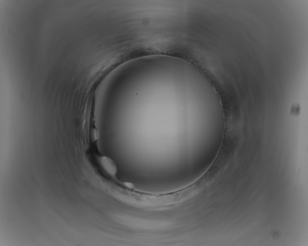 X0000093240027200709261718