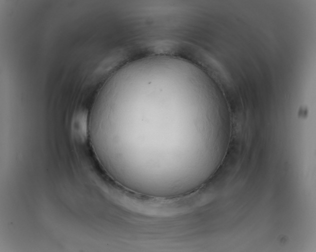 X0000093240028200709261718