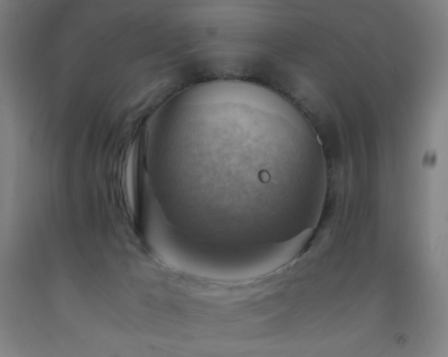 X0000093240029200709261718