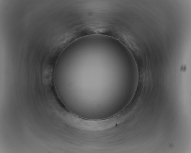 X0000093240030200709261718