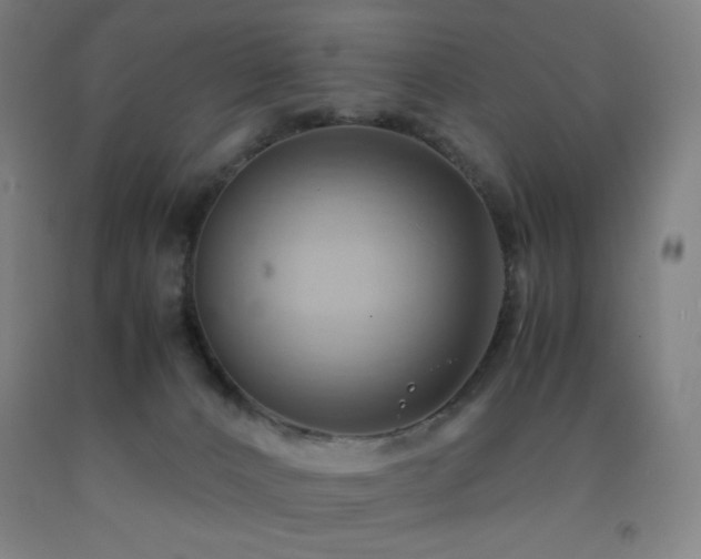 X0000093240032200709261718