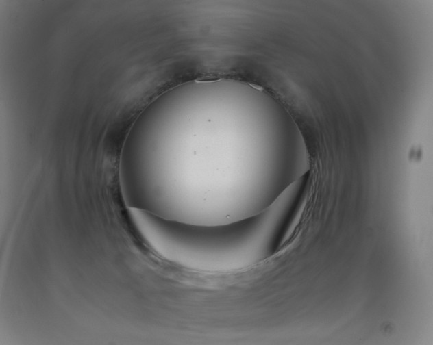 X0000093240033200709261718