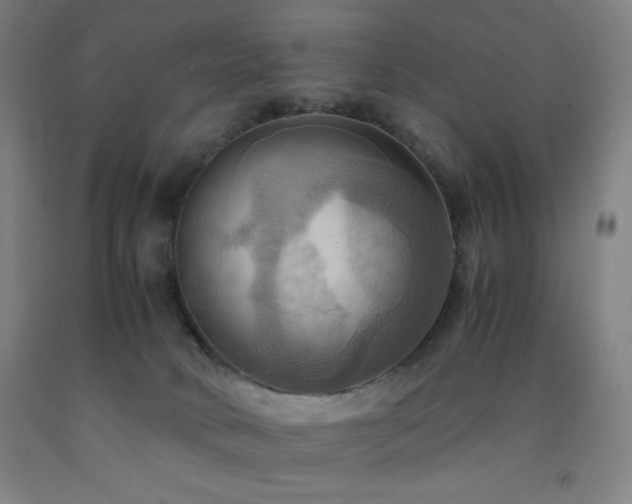 X0000093240034200709261718