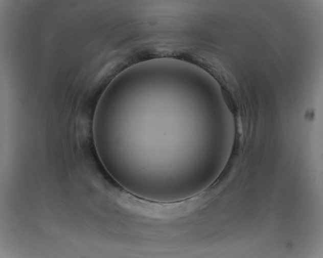 X0000093240035200709261718
