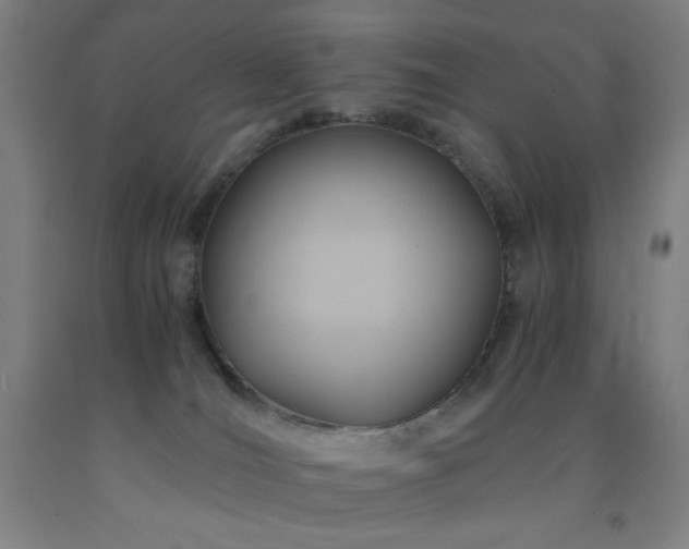X0000093240036200709261718
