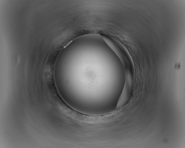 X0000093240037200709261718