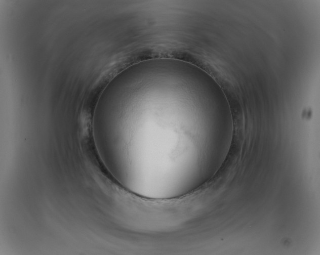 X0000093240038200709261718
