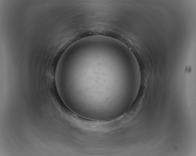 X0000093240040200709261718