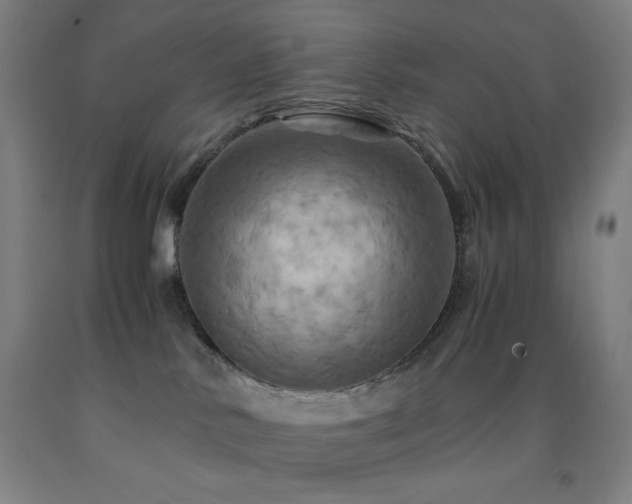 X0000093240042200709261718