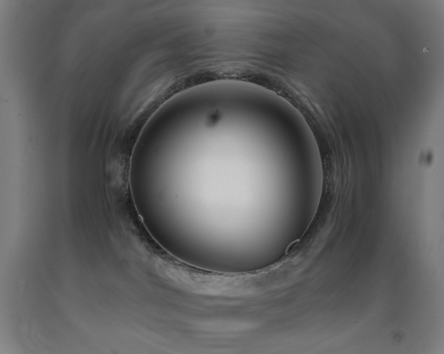 X0000093240044200709261718