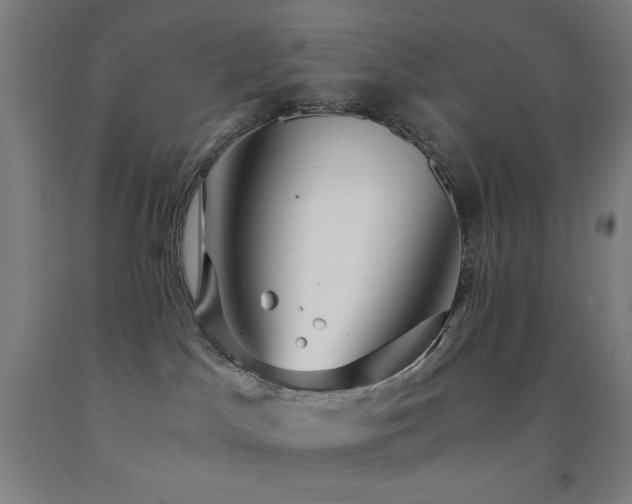 X0000093240045200709261718
