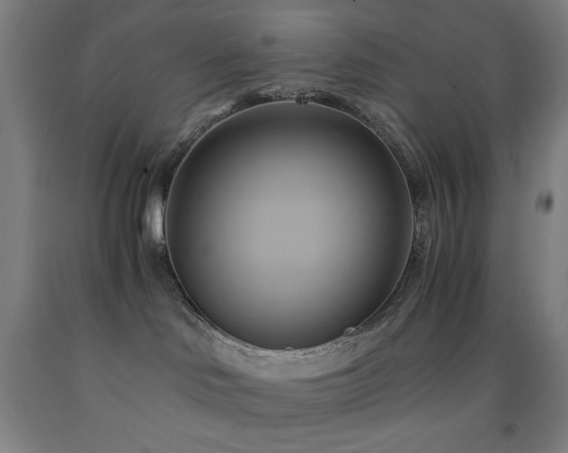 X0000093240046200709261718