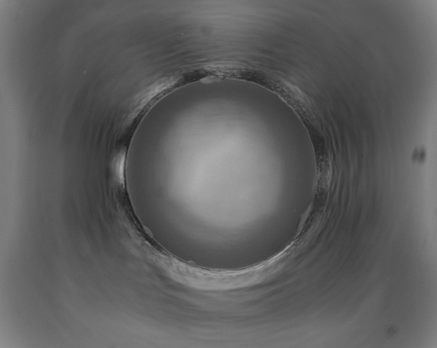 X0000093240047200709261718