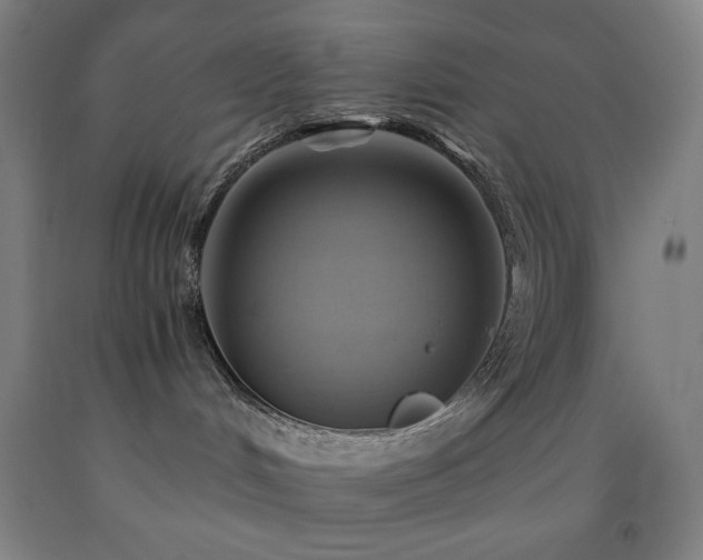 X0000093240048200709261718
